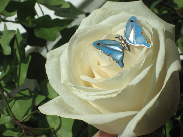 ВЕРНУТЬСЯ К ЦВЕТАМ