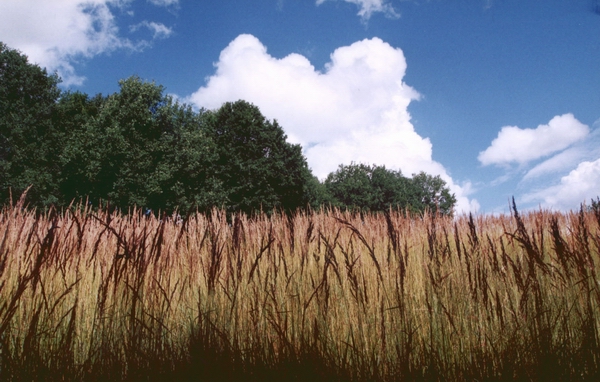 ВЕРНУТЬСЯ К ЛЕТУ