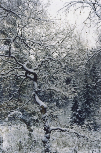 ВЕРНУТЬСЯ К ЗИМЕ